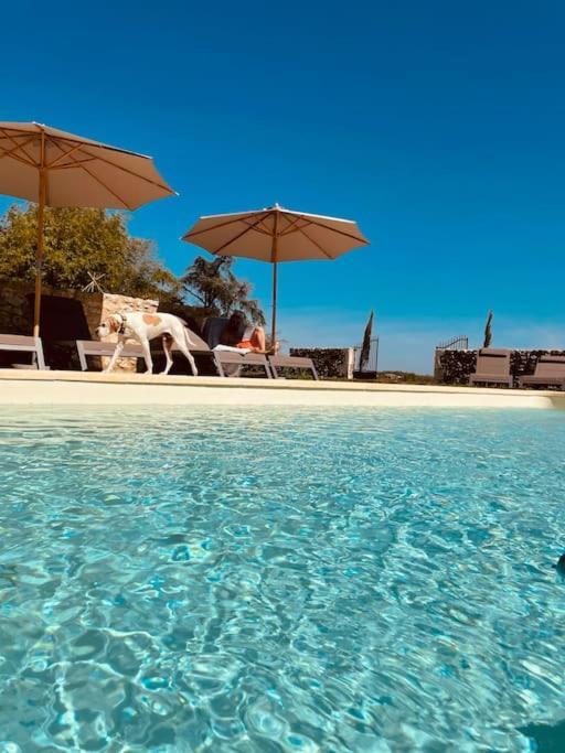 Dome Insolite Cedre Jacuzzi Et Petits Dejeuners Inclus Lagraulet-du-Gers Luaran gambar