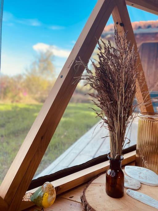 Dome Insolite Cedre Jacuzzi Et Petits Dejeuners Inclus Lagraulet-du-Gers Luaran gambar