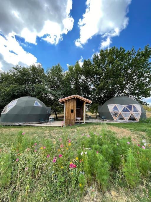 Dome Insolite Cedre Jacuzzi Et Petits Dejeuners Inclus Lagraulet-du-Gers Luaran gambar